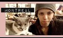 MTL VLOG // all the cat cafés 🐱 ☕