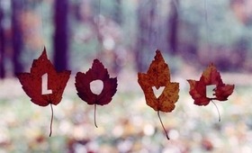 Beginning of Fall Loves l Liveloveerika