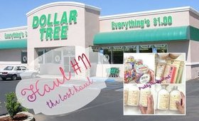 Dollar Tree Haul #11 | The Lost Haul  | PrettyThingsRock