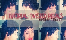 Tutorial: Chescaloc's Inspired Twist Petals on 4C Hair