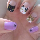 cat nails