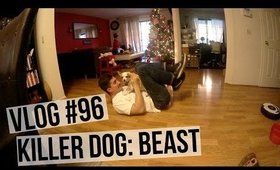 VLOG #96: KILLER DOG BEAST | SCCASTANEDA