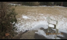 WINTER STORM LAST WEEK BACKYARD ACTION