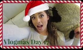 VLOGMAS 2013: DAY 17 | DID YOU KNOW I VLOG EVERYDAY!?