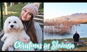 Making Potica & Choking on Rakija | Christmas in Slovenia