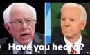 Joe Biden or Bernie Sanders. Who will get my vote? #DoTheRightThing