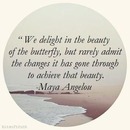 " ... The beauty of the butterfly ... " - Maya Amgelou