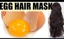 EGG HAIR MASK For DRY FRIZZY HAIR and FAST HAIR GROWTH