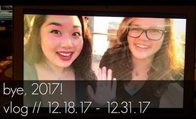 Vlog! Bye, 2017! | 12.18.17 - 12.31.17