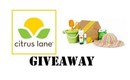 Citrus Lane Review + Giveaway