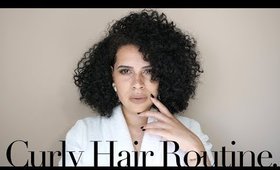 Curly Hair Routine | Erica Fae