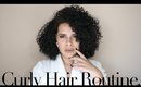 Curly Hair Routine | Erica Fae