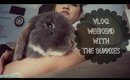 VLOG: Weekend with my bunnies | vaniitydoll