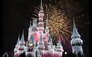 Disney World Haul & Shopping Tips