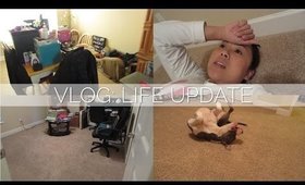 VLOG: Life Update | FromBrainsToBeauty