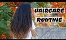 HOW TO GROW HAIR LONGER & HEALTHIER | Haircare Care Routine (Dry & Damaged Hair) | Stacey Castanha