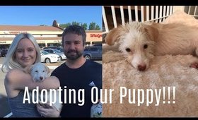 Adopting Our Puppy!!!