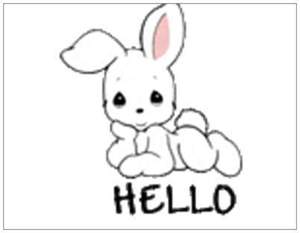 Hello EveryBun!
