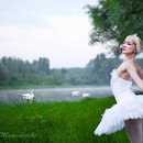 White Swan