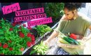 REDOING MY VEGETABLE GARDEN (Lazy gardening for beginners!)