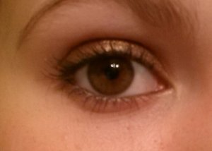 My new eyeshadow: Gosh Forever Eyeshadow in light copper :)