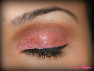 Wearing Pure Fusion mineral eyeshadows in
french cafe on the crease
Innocent on the lid
whit velvet as brow highlight.