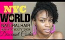 2014 World Natural Hair Show New York City Taliah Waajid NYC