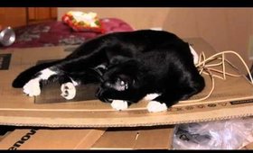 My Snarf The Cat Moment