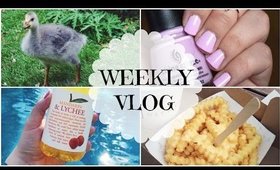 Weekly Vlog: An Unlucky Week