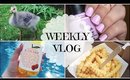 Weekly Vlog: An Unlucky Week