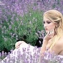 Summer wedding lavender