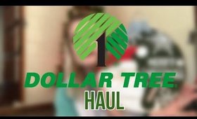 Dollar Tree Haul *I went to 5 Dollar Trees* | November 18, 2017