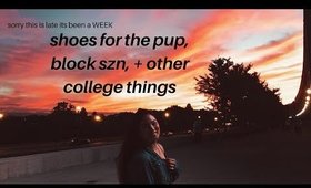 week in the life: puppy shoes + block szn