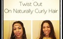 2 Style Twist Out On Naturally Curly Hair