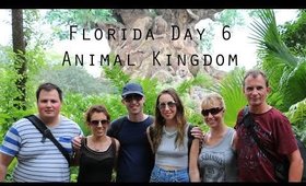 Orlando Florida Holiday vlog Day 6: Disneyworld Animal Kingdom