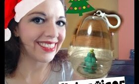 UN ALBERO DI NATALE CHE CRESCE NELL'ACQUA ? Proviamolo Insieme  | Esperimento Tiger