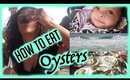 Oysters, Babys 1st Beach Trip & Killer Birds?!?