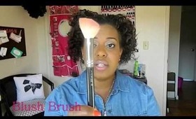 1. Beginners Guide to Brushes (Make-up 101 Series)