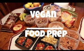 Vegan Food Prep| Cheap and Easy