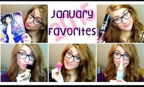 January Favorites 2015