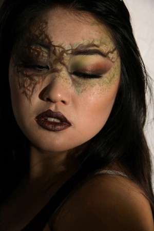 Hunger Games inspired look for a fun Covergirl beauty challenge I saw online. wish me luck!