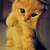 Faeeza K.