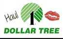Dollar Tree Haul: April 22 2013