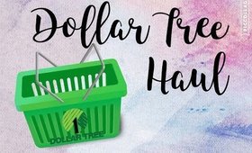 Dollar Tree Haul with Ollies & Bealls Outlet