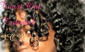 Twist Out: Tutorial for 3C Hair