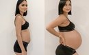 PREGNANCY TRANSFORMATION Week by Week 11-39