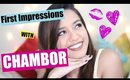 Full Face Of First impressions Using Chambor Products | Debasree Banerjee