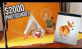 I Paid $2000 For a Photoshoot for My Dog.