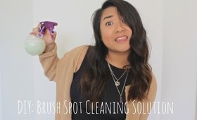 DIY: Brush Spot Cleaning Solution