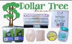 Dollar Tree Haul #6 | OVERDUE Haul ~ Lots of Fun Finds | PrettyThingsRock